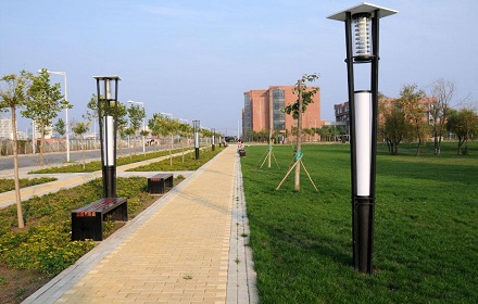 校园绿化设计工程